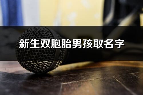 新生双胞胎男孩取名字
