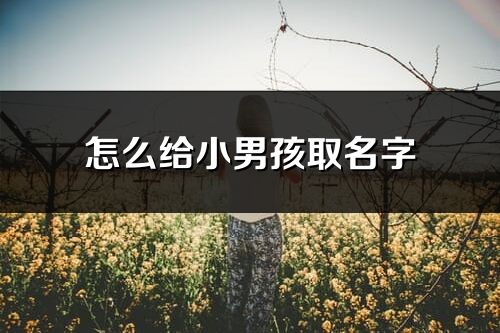 怎么给小男孩取名字