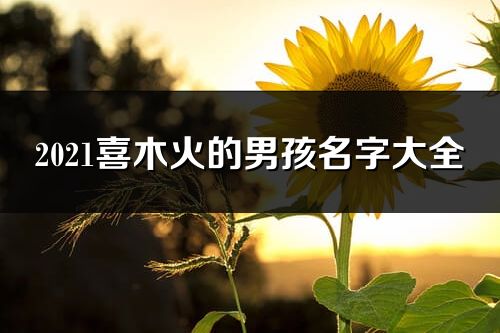 2021喜木火的男孩名字大全