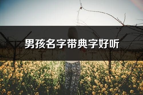 男孩名字带典字好听