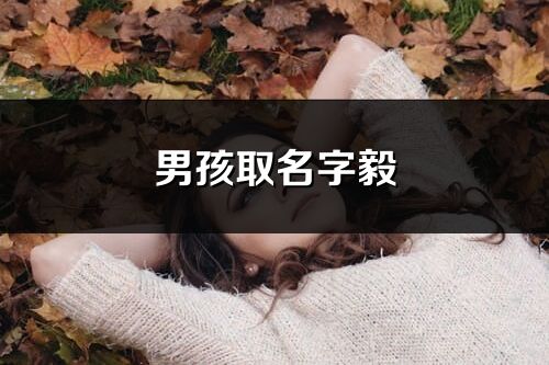 男孩取名字毅