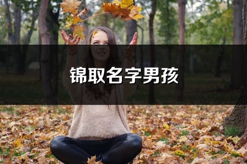锦取名字男孩