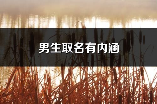 男生取名有内涵