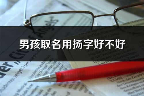男孩取名用扬字好不好