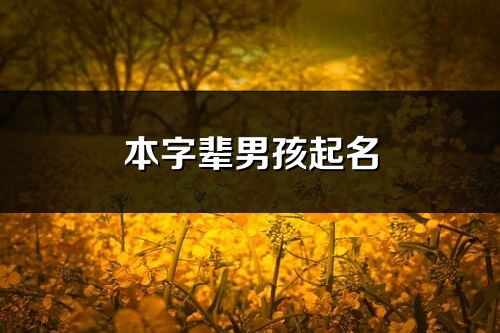 本字辈男孩起名