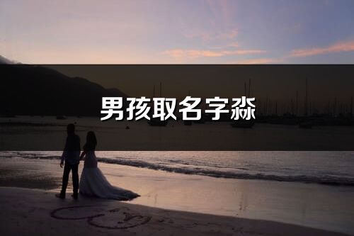 男孩取名字淼