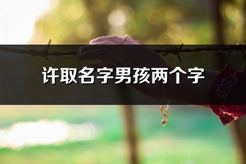 许取名字男孩两个字