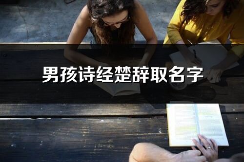 男孩诗经楚辞取名字