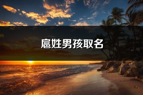 扈姓男孩取名