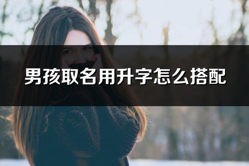 男孩取名用升字怎么搭配