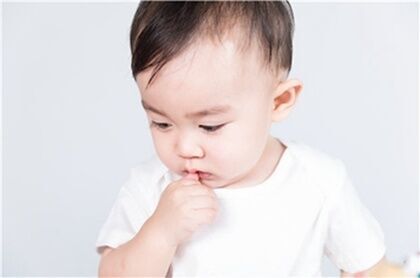 姓君的男主小说名字
