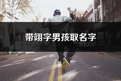 带翊字男孩取名字