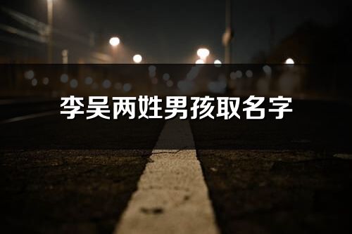 李吴两姓男孩取名字