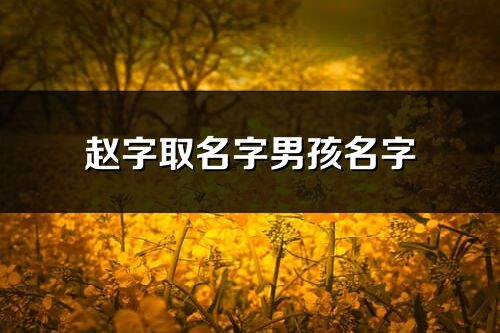 赵字取名字男孩名字