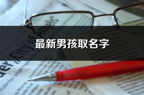 最新男孩取名字