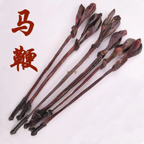 马鞭新货大马鞭男性滋补泡酒料一条另售牛鞭羊鞭狗鞭内蒙中号150克