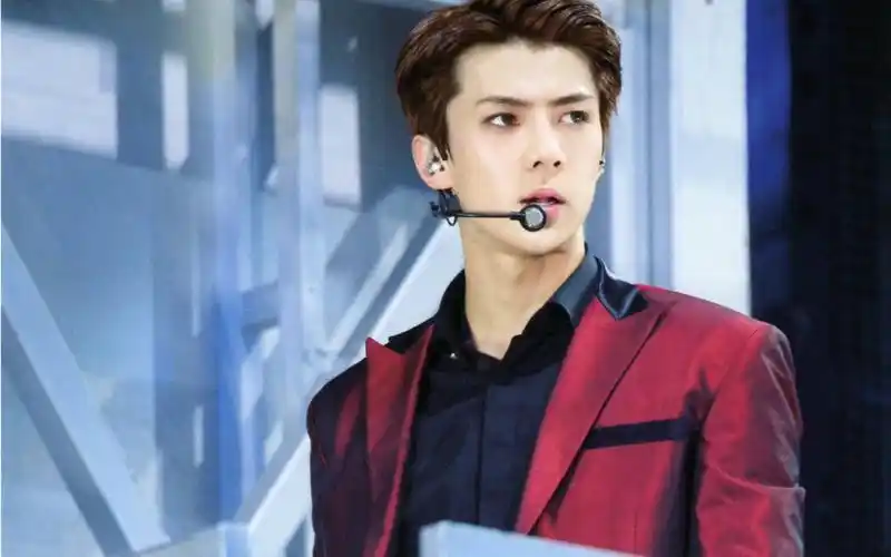 【吴世勋】酒红色西装yyds_哔哩哔哩_bilibili