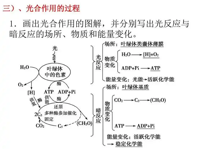 2018届高考生物复习课件细胞代谢专题 第三部分能量之源--光合作用