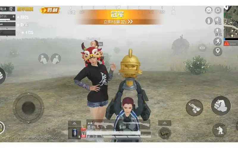 和平精英夺冠照片(看简介)