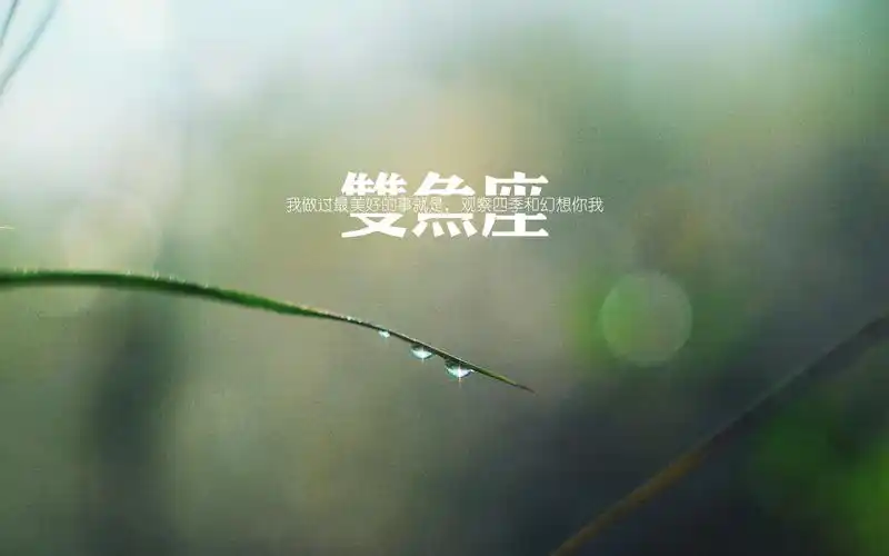 高清双鱼座唯美文字壁纸图片