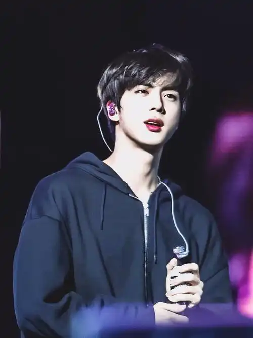 防弹少年团的金硕珍有什么神图