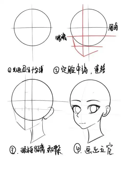 头部五官比例练习打卡正侧脸