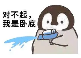 对不起我是卧底是什么梗