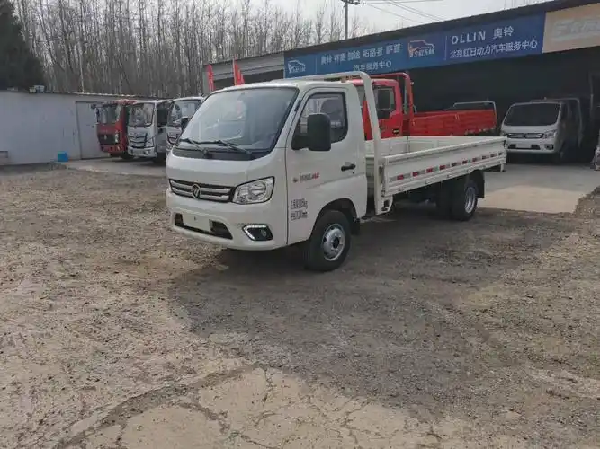 北京卖小汽油货车的4s店祥菱后双轮板车