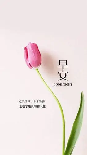 周二清晨最新正能量问候语句,微信早安问候语句图片