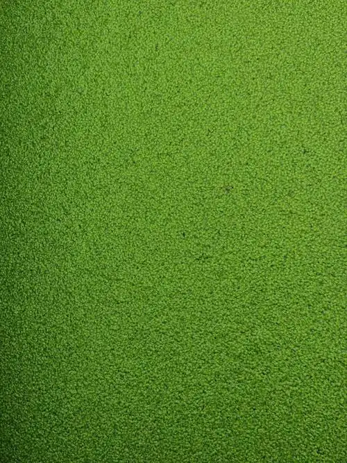 纯天然绿色壁纸来咯