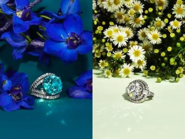 蒂芙尼全新发布2022bluebook高级珠宝系列botanica