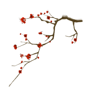 花卉月季手绘梅花腊梅下雪冬天季一枝梅黄色腊梅新春免抠粉色百合花