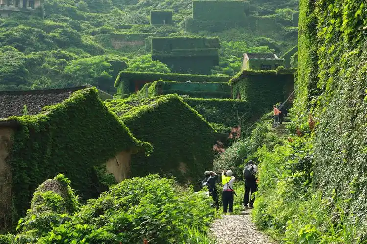 无人村村貌 2019年6月22日拍摄于浙江嵊山岛