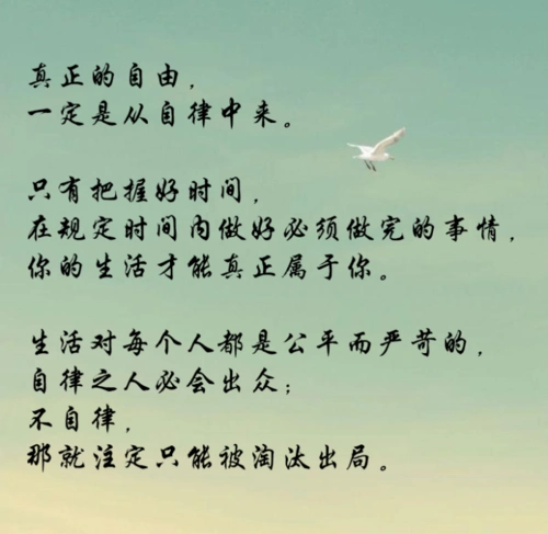 保险开始自律 保险自律时间有多长