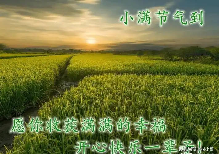 2022年5月21日小满清晨早上好问候祝福动态表情图片