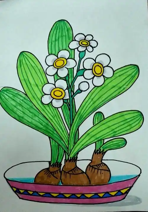 植物儿童画 多肉植物儿童画