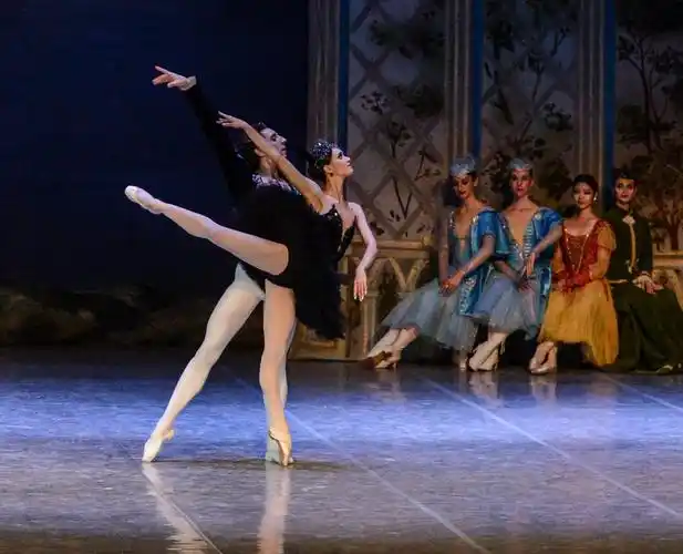 黑天鹅舞蹈专辑