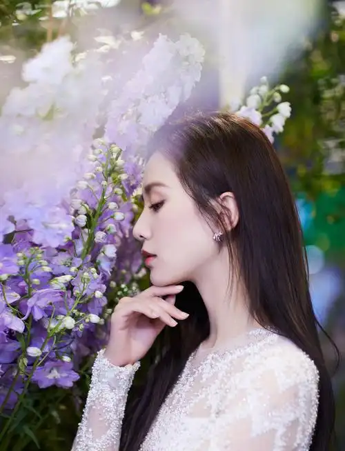 明星写真 [第一期]