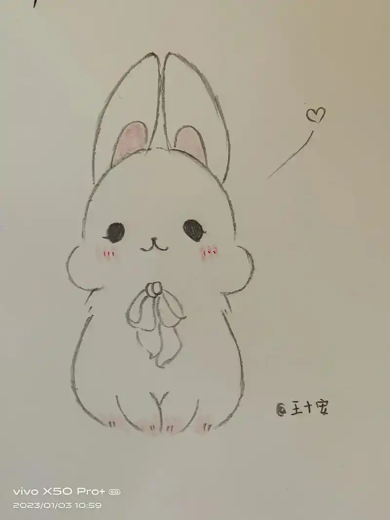 2023年第一只小兔子.#可爱到爆炸💥 #画画#手绘 #新 - 抖音