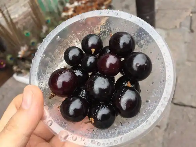 鲜乌梅的功效与作用乌梅玉竹丸作用与功效