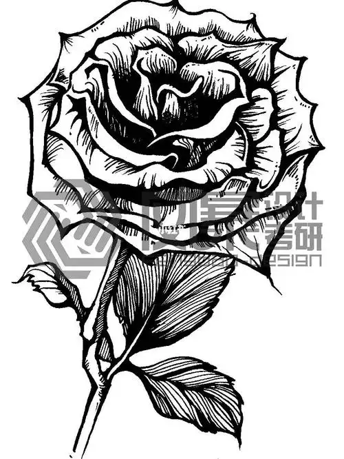 视传黑白装饰画素材积累