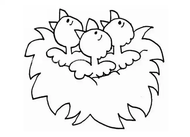 简单漂亮小鸟简笔画两只小鸟和小鸟窝要如何画春天的小鸟简笔画大全鸟