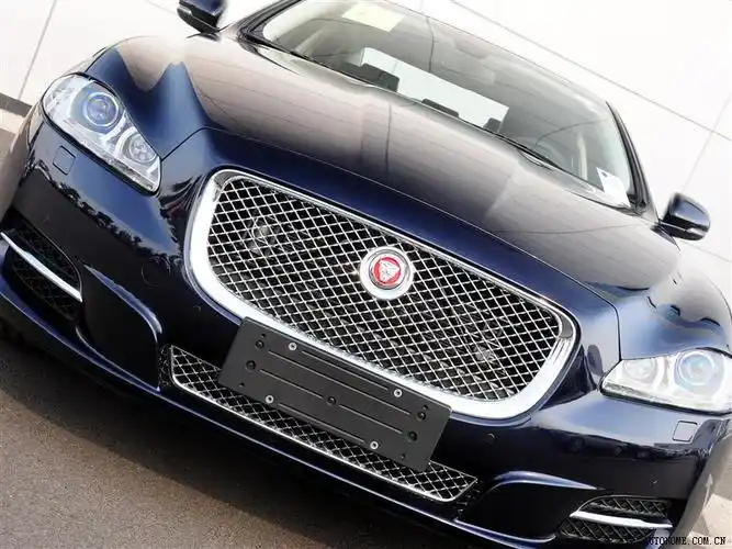 应该是豹子头吧——捷豹