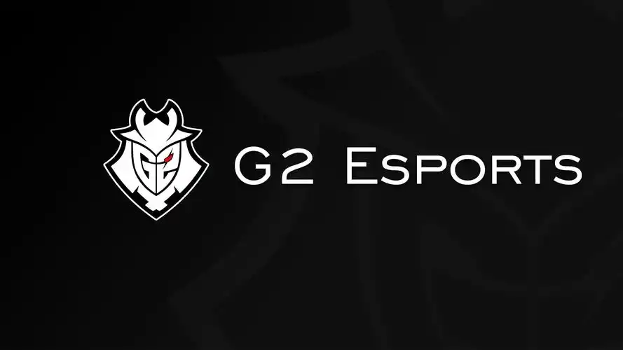 补发g2esports战队简约黑其他分辨率的壁纸
