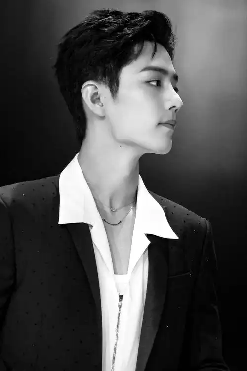肖战 如果招摇是一种罪,请让我负荆请罪 肖战一组很有质感的黑白照片