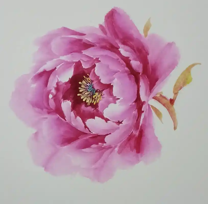 写意牡丹花头画法#绘画教程 #绘画 #国画艺术  - 抖音