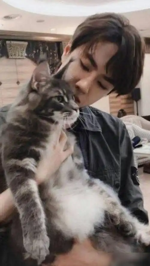 我是王一博的猫,让本喵来介绍一博哥哥休息日的一天行程吧