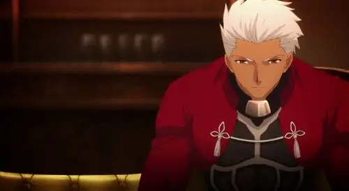 fate英灵卫宫archer