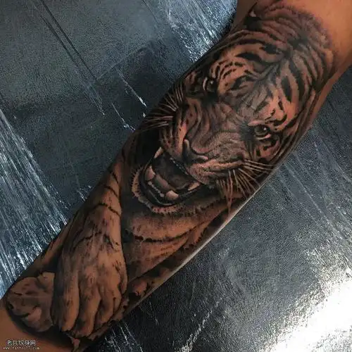 皇冠平台出租988:小腿纹身图案tag标签_武汉纹身店之家:老兵纹身店