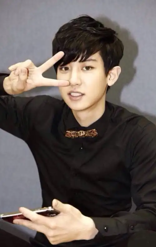 exo 朴灿烈 chanyeol 剪刀手